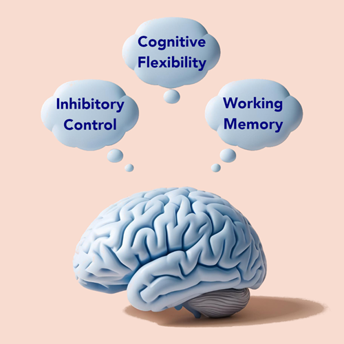 Brain illustration with thought clouds representing executive function skills like planning, organization, and self-regulation