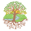 Tree with roots illustrating the foundation of planning and prioritization skills