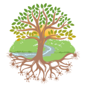 Tree roots illustrating the building blocks of executive function skills
